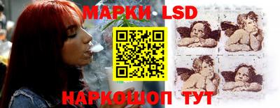 сатива Гатчина