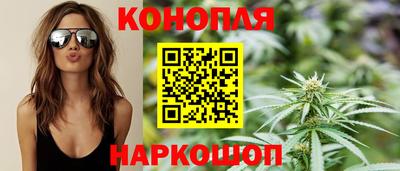 сатива Гатчина