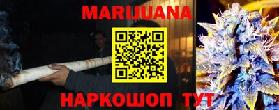 сатива Гатчина