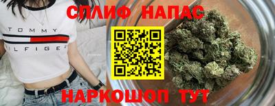 сатива Гатчина