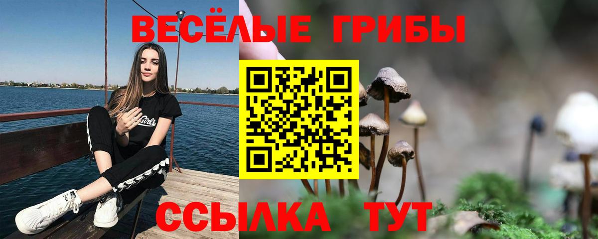 Галлюциногенные грибы Cubensis Лосино-Петровский